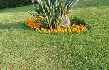 A casa da Piruleta - Foto 27