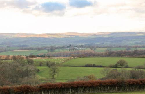 Rum Bush Cottage - Foto 36