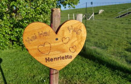 Loft am Diek - Foto 37