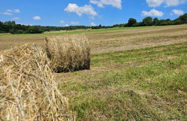 Agroturystyka Bocianie Gniazdo - Foto 24