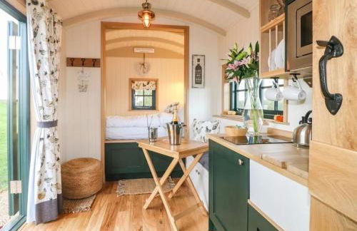 Shepherd's Hut- Hot Tub- Wellness Spa- Wood Burner - Foto 24