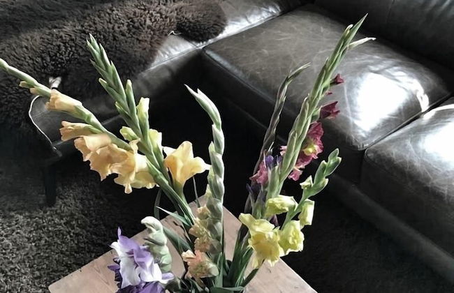 Berghütte Vogtland - Photo 13