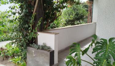 Casa Rua dos Loureiros - Foto 2, Garden