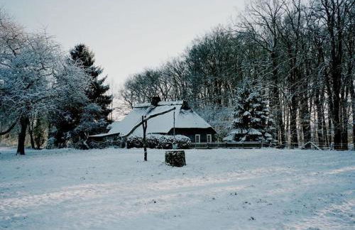 Holiday Home Hirtenkate Apartment 2 - Foto 29