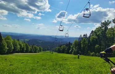Traumblick Bayerischer Wald, Pool & Sauna, Getränke, Klimaanlage - Foto 47