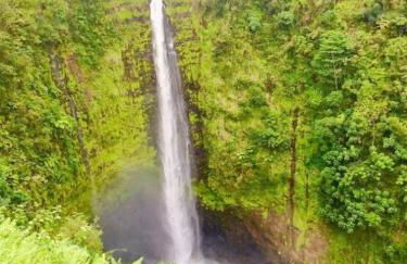 Newly Renovated Condo with SUP Paddle Boards and Golf Clubs Included - Foto 56