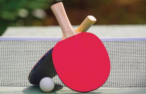 Breg Ivanovci - Three Bedroom Villa with Swimming Pool - Photo 36