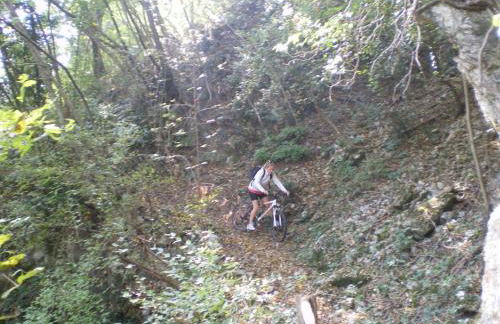 Tenuta Fortelongo - Foto 124