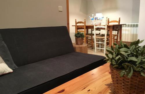 Apartaments Cal Borda - Photo 22