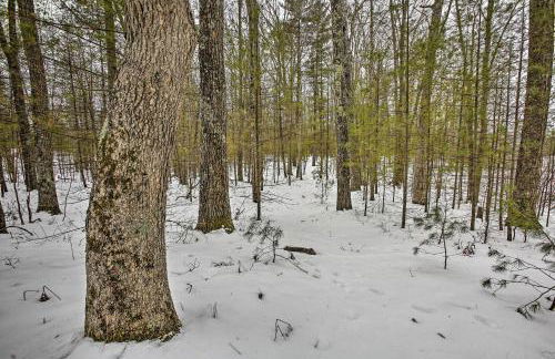 Remote Michigan Retreat on 10 Acres with Grill! - Foto 25