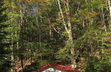 Catskill Cabin, Cool Apartment, 2nd Floor - Photo 13