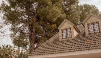 Vega de la Reina - Foto 4