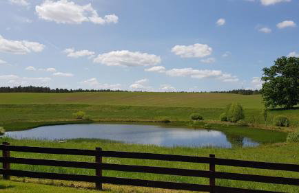 "Dolina szczęścia" Kartkowo - Foto 28