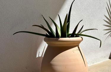 Five and You - Foto 77