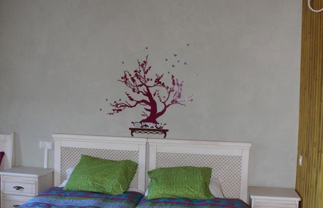 Eco Urbión - Foto 8