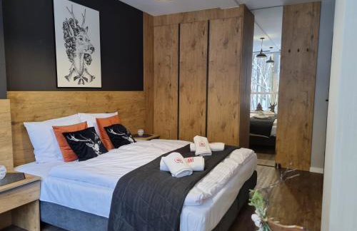 Apartament SPA 10 Resort Kozubnik blisko Szczyrk - 5D Apartments - Foto 11