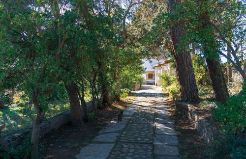 Casa Rural La Central-Peñagorda - Photo 17