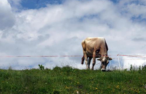 Sporting Clubresidence - Foto 24