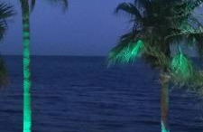 AlgaidaBeach-PaseoLitoral - Photo 45