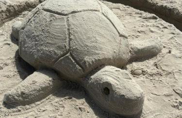 Apartamenty nad morzem Przy klifie 3 Dębina - Foto 51