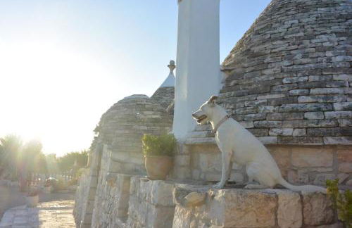 Trulli il Castagno - Foto 94