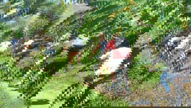 Tour en bicicleta por Diani