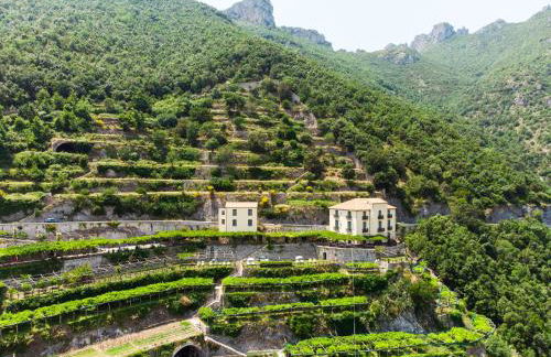 Limoneto Di Ercole - Foto 37