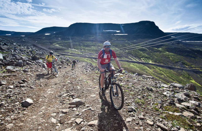Tour de bicicleta e caiaque pelos Westfjords - Foto 7