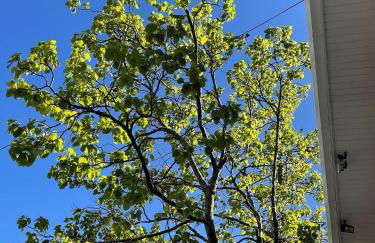 Prédio Histórico na Rio Branco - Foto 7