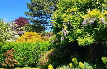 La Tonnelle - Foto 36