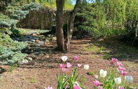 TOSKANA Nadarzyn - Photo 8