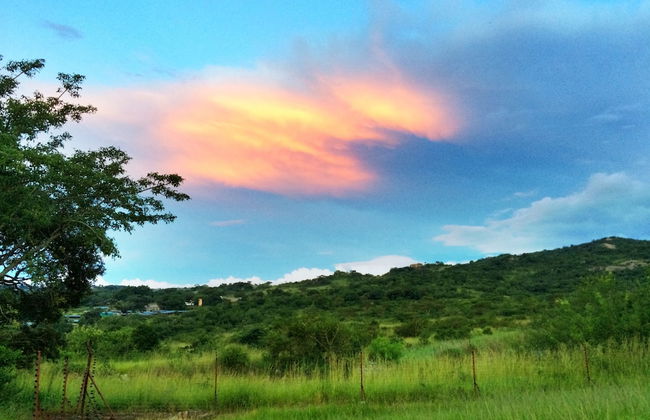 Near2Numbi - Foto 77