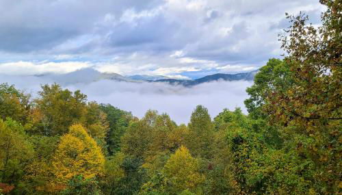 Smoky Mountain Cabin with Hot Tub and Views! - Foto 2