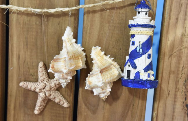 Apartamentos Tinoca - Foto 5