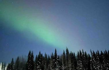 Biplane Hangar Bighorn Room - Foto 22