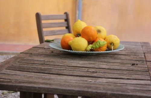 Les Agrumes - Foto 18