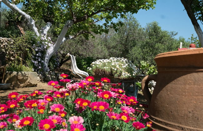 Traditional Cretan Family Home - Foto 42