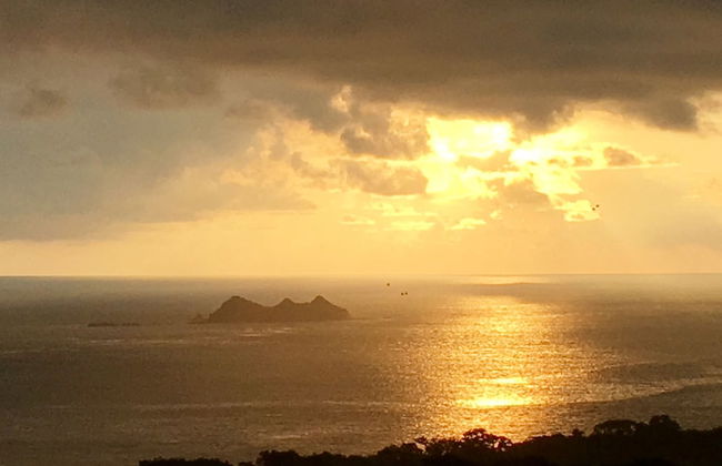 Many's House - La Joya De Ballena - Photo 45