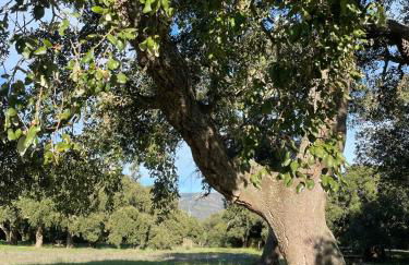 Smart Apartments Facinas - Foto 40