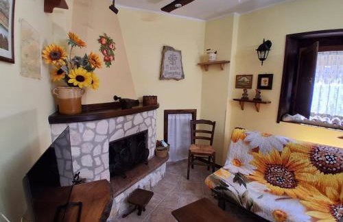 Il girasole - Foto 6