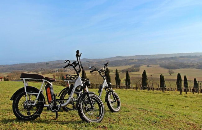 Holiday Home in Peyrusse Grande - Foto 28