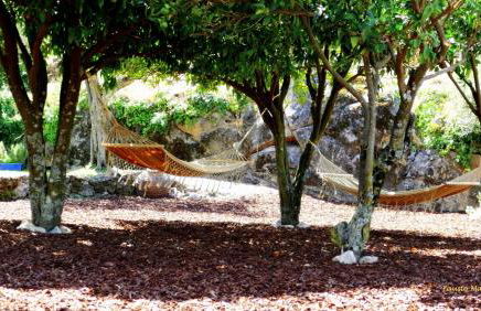 Pedra Nova - Turismo d'aldeia - Foto 111