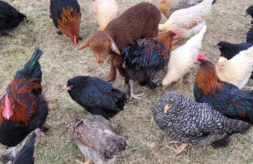 Torhaus Terra Nova - Foto 10