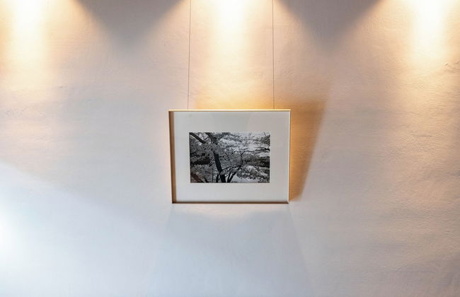 Mameyama15 - Foto 47