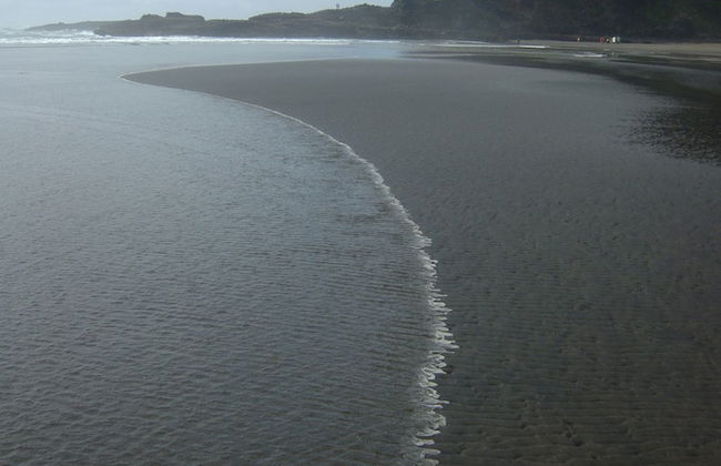 Spectacular Hilltop Retreat near Piha - Foto 42