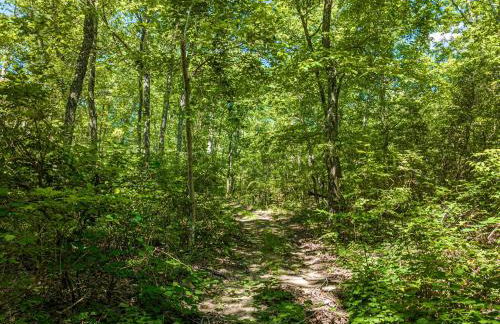 Coyote Cabin at Woodland Retreat at DeSoto beside DeSoto State Park - Foto 44