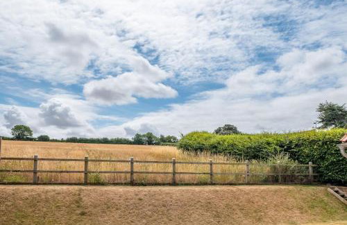 Field View - Foto 41