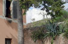 Agriturismo Villino Bellavista - Photo 61