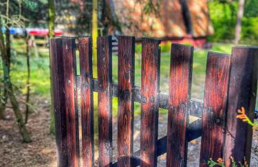 Poza czasem - domek letniskowy nad jeziorem - Foto 2