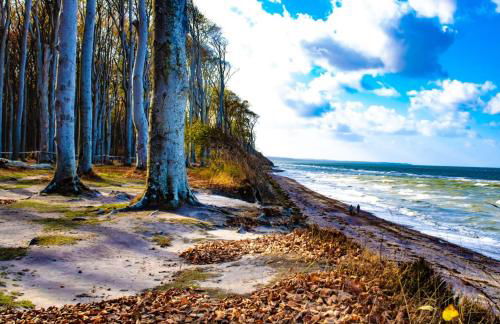 Ferienhaus Leonie - Photo 17